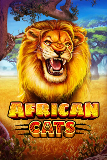 African Cats демо режим | Vulkan Casino BY бесплатно без регистрации