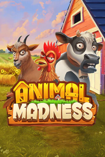 Animal Madness демо режим | Vulkan Casino BY бесплатно без регистрации