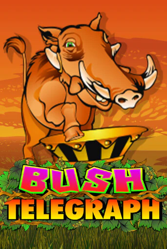 Bush Telegraph демо режим | Vulkan Casino BY бесплатно без регистрации