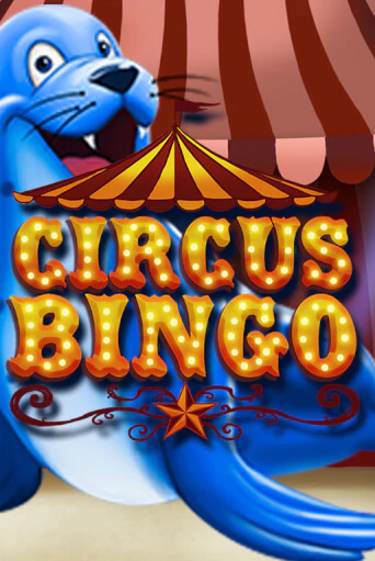 Circus Bingo демо режим | Vulkan Casino BY бесплатно без регистрации