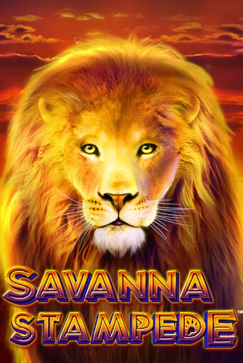 Savanna Stampede демо режим | Vulkan Casino BY бесплатно без регистрации