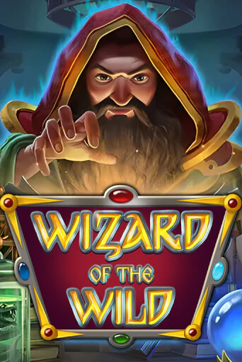 Wizard of the Wild демо режим | Vulkan Casino BY бесплатно без регистрации