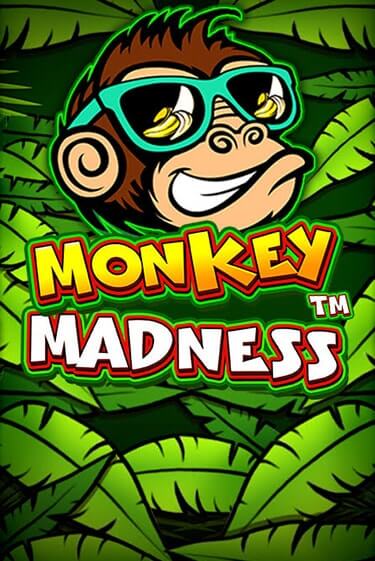 Monkey Madness демо режим | Vulkan Casino BY бесплатно без регистрации